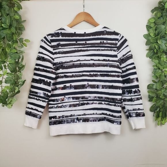 Ann Taylor Sequin Zebra Jacquard Pullover Sweater Blouse Small Stripe Long Sleev - Picture 2 of 10